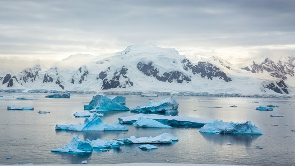 Préparer voyage en antarctique : guide complet et astuces