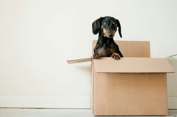 Comment mettre en place des systèmes de covoiturage efficaces dans les zones suburbaines ?